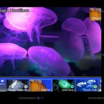 coincident-tv-1-june-2010